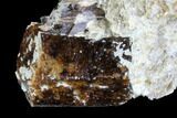 Brown Dravite Tourmaline Crystal Cluster in Mica - Australia #96309-2